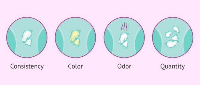 What Your Vaginal Discharge Means at Each Stage of Your Menstrual Cycle