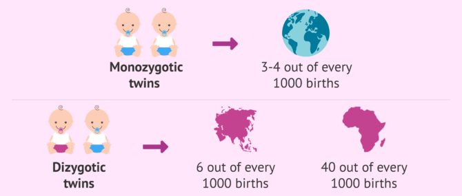 Imagen: Chances of having a multiple pregnancy