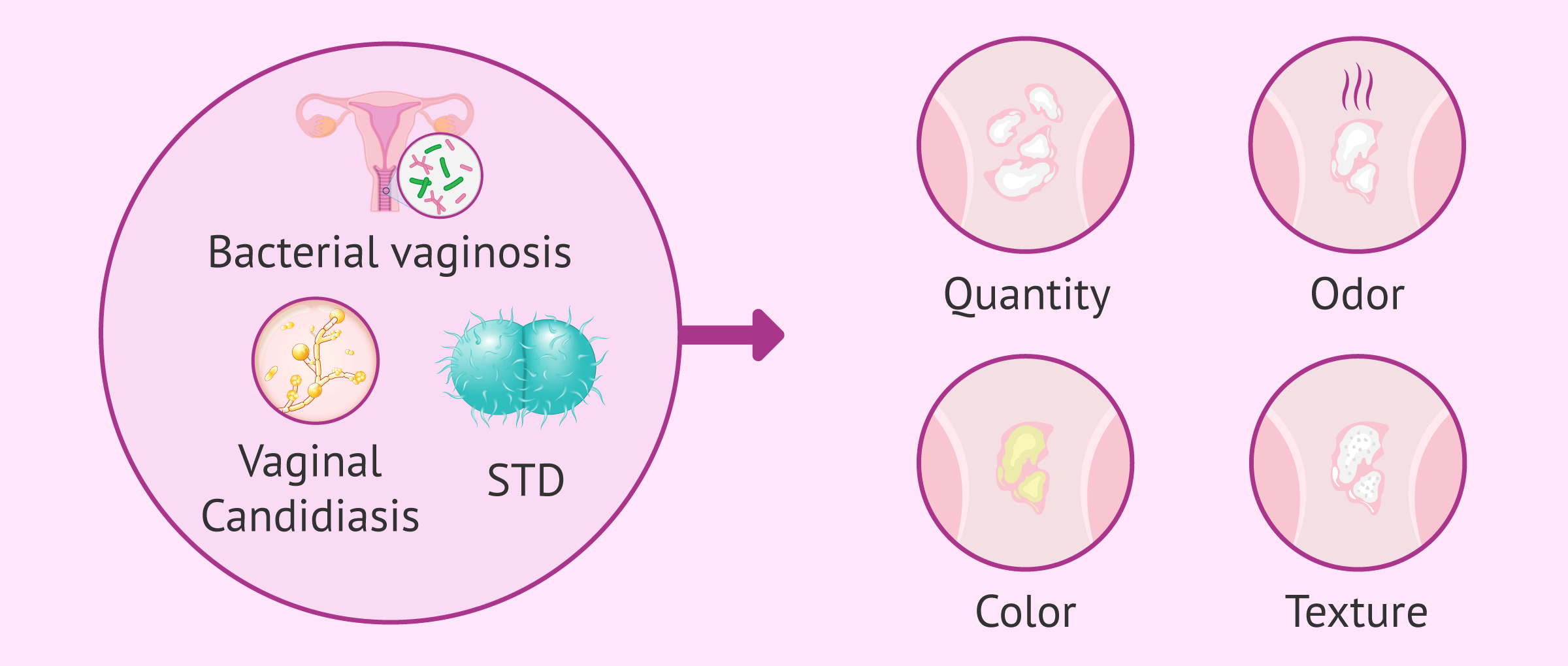 Is it normal to have vaginal discharge, what is it for and when is it abnormal?