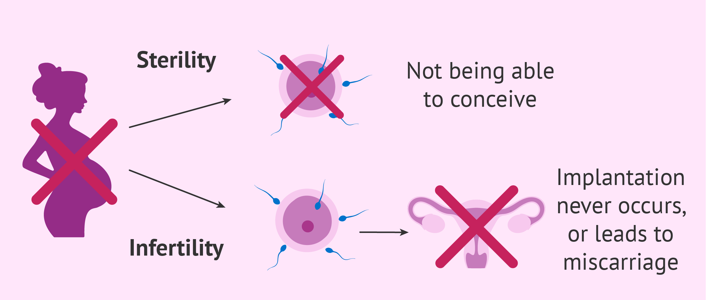 What Is The Difference Between Infertility And Sterility