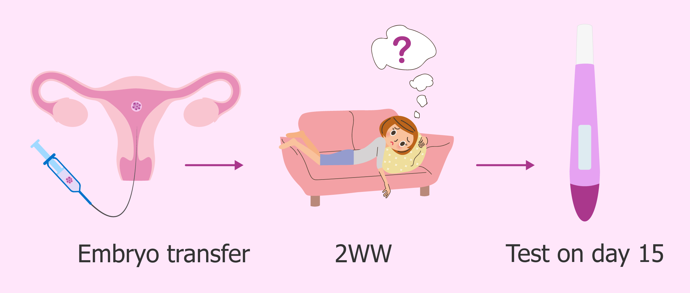 long distance travel after embryo transfer