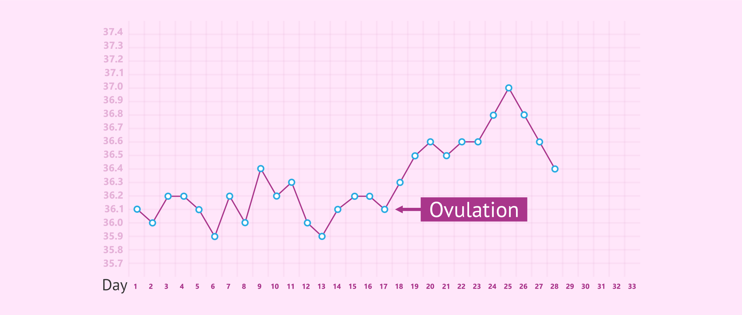 Basal Body Temperature Chart Of A Woman