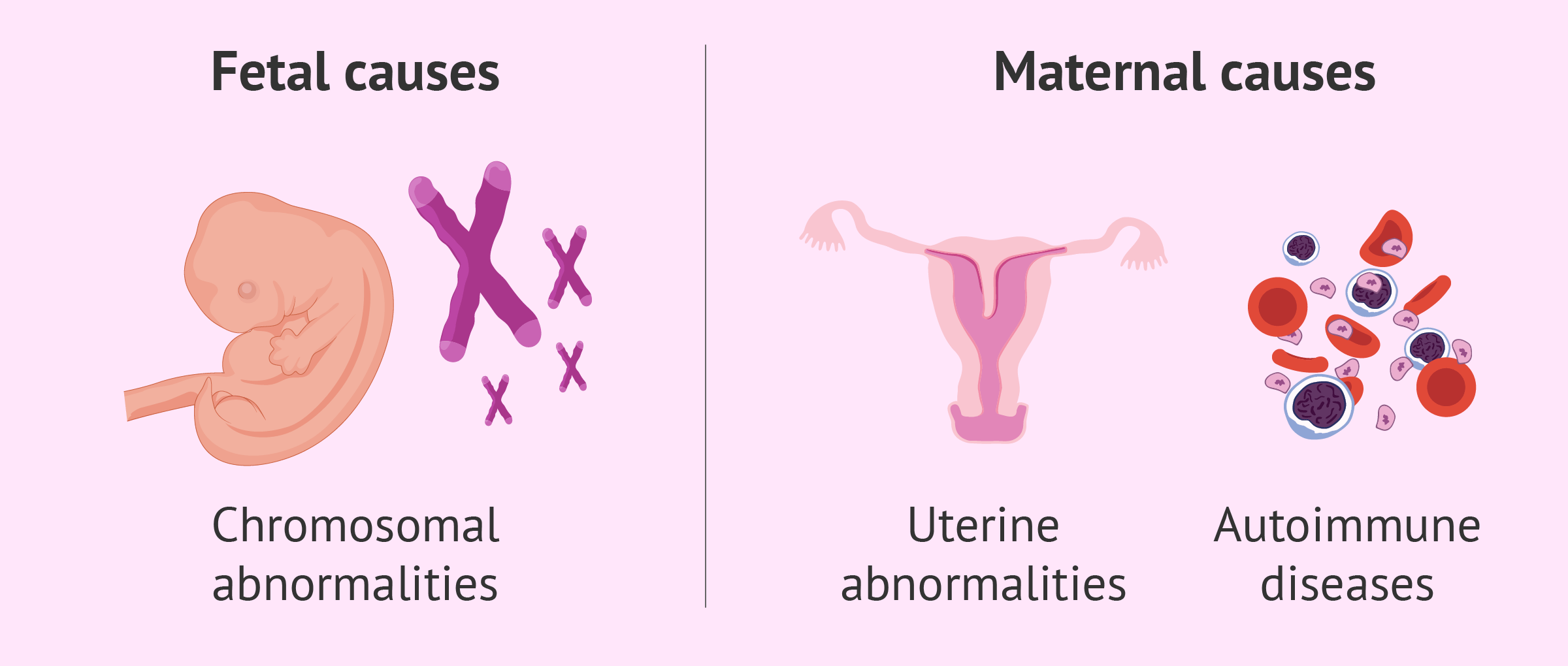 Factors leading to miscarriage