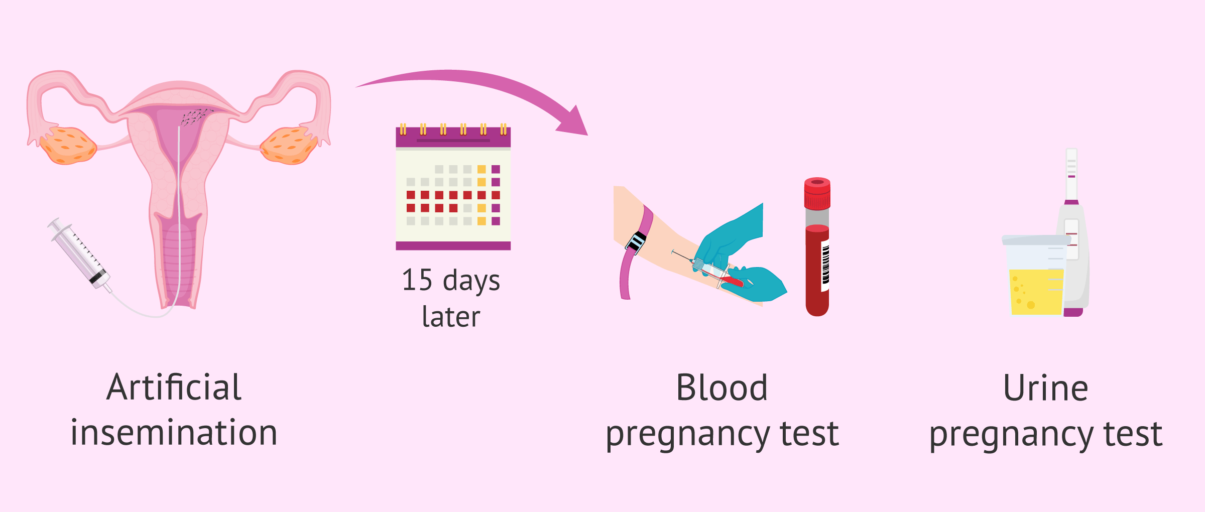 Waiting time for pregnancy test