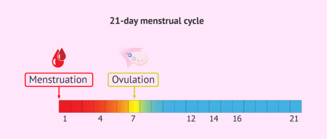 Why Is My Menstrual Cycle Getting Shorter?