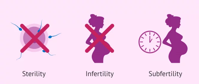 What’s the Difference between Infertility, Sterility & Subfertility?