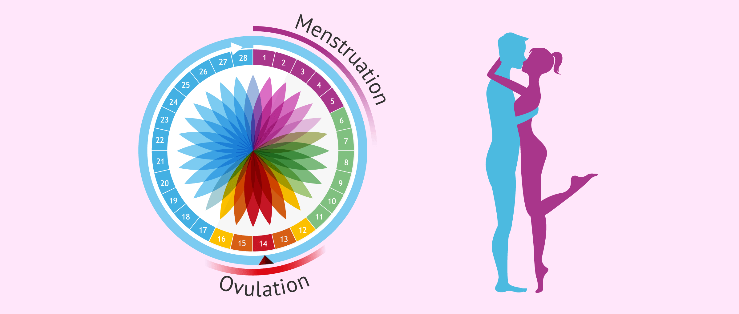 Timed intercourse at the time of ovulation