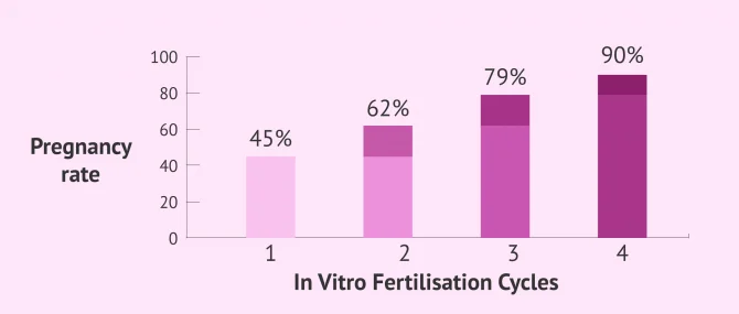Imagen: Cumulative pregnancy rate in in vitro fertilisation (IVF)