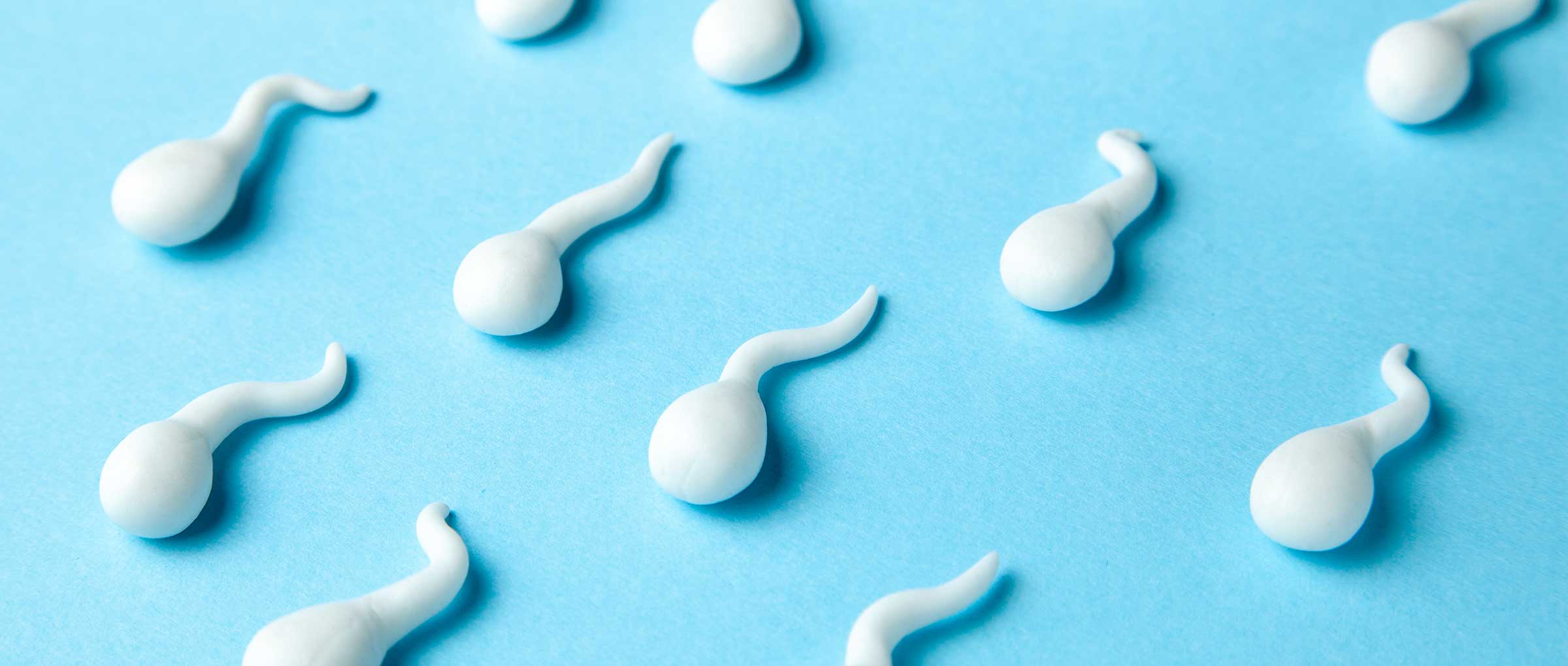 Sperm quality and success after undergoing ART
