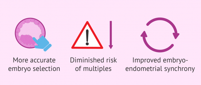 Advantages of blastocyst embryo culture