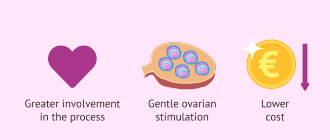 Imagen: Advantages of the INVO method
