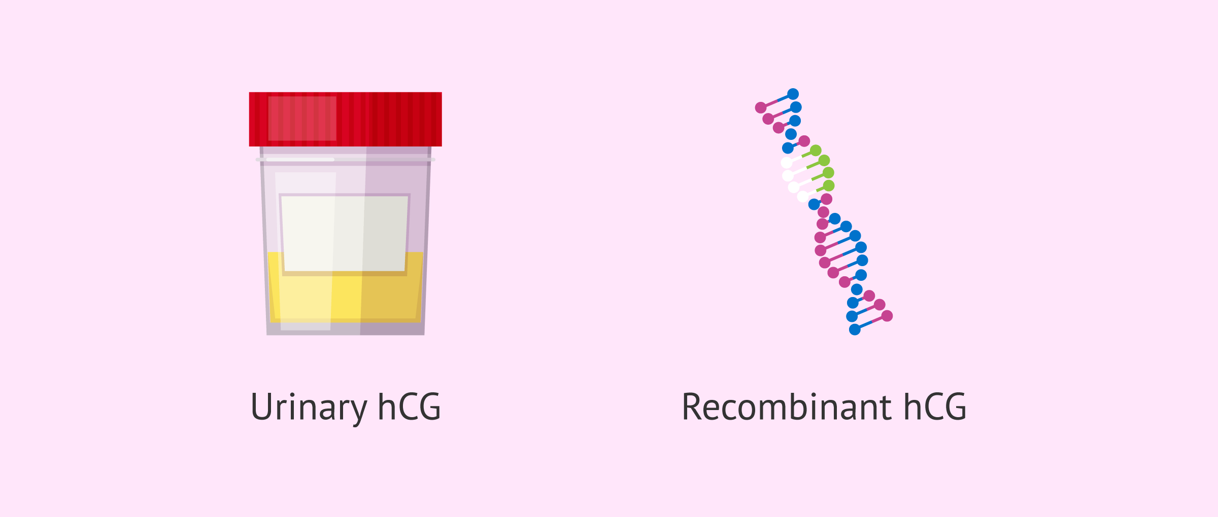 Types of hCG according to how it was obtained