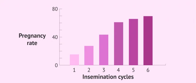 Imagen: Cumulative pregnancy rate in artificial insemination