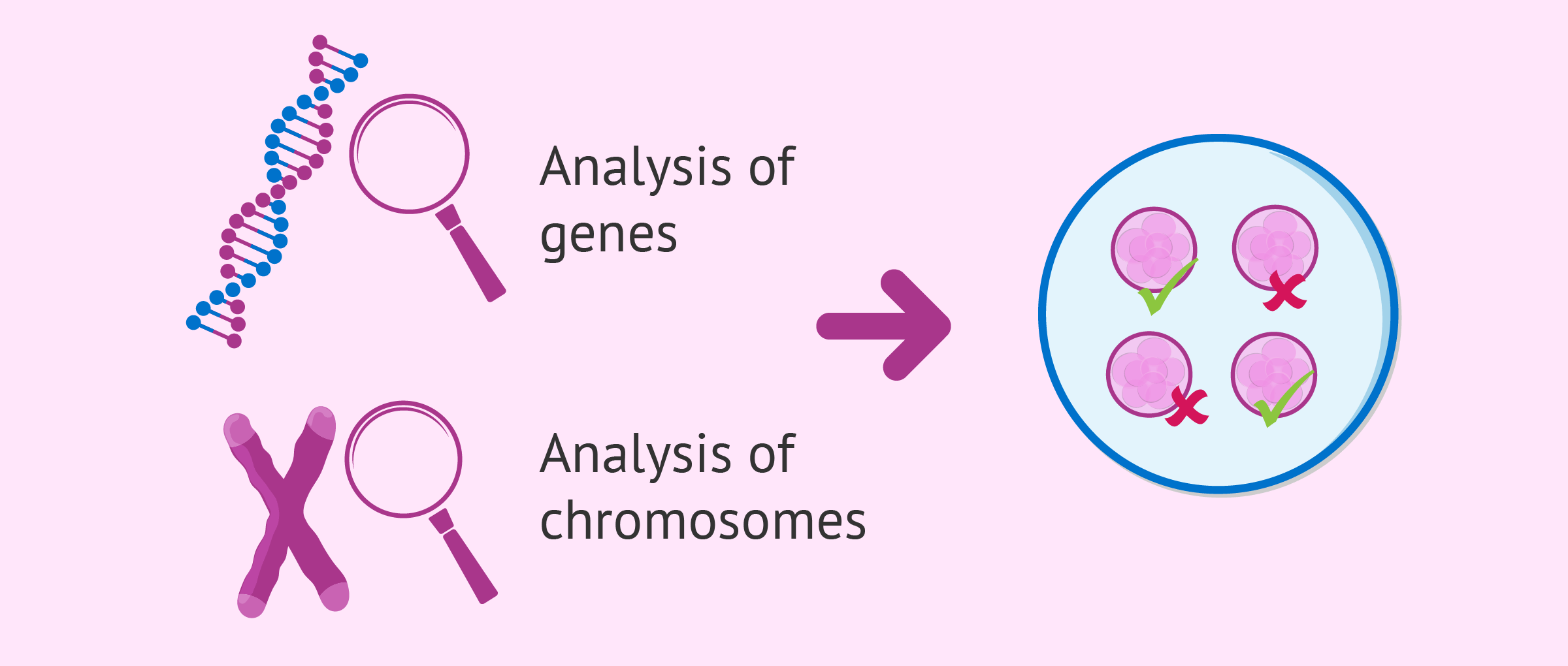 PGD for Genetic Diseases