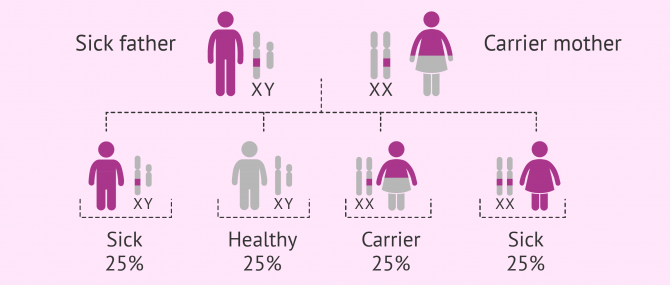 X-linked recessive inheritance pattern