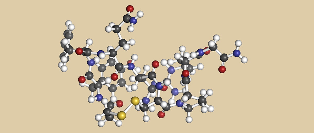Biochemical structure of GnRH