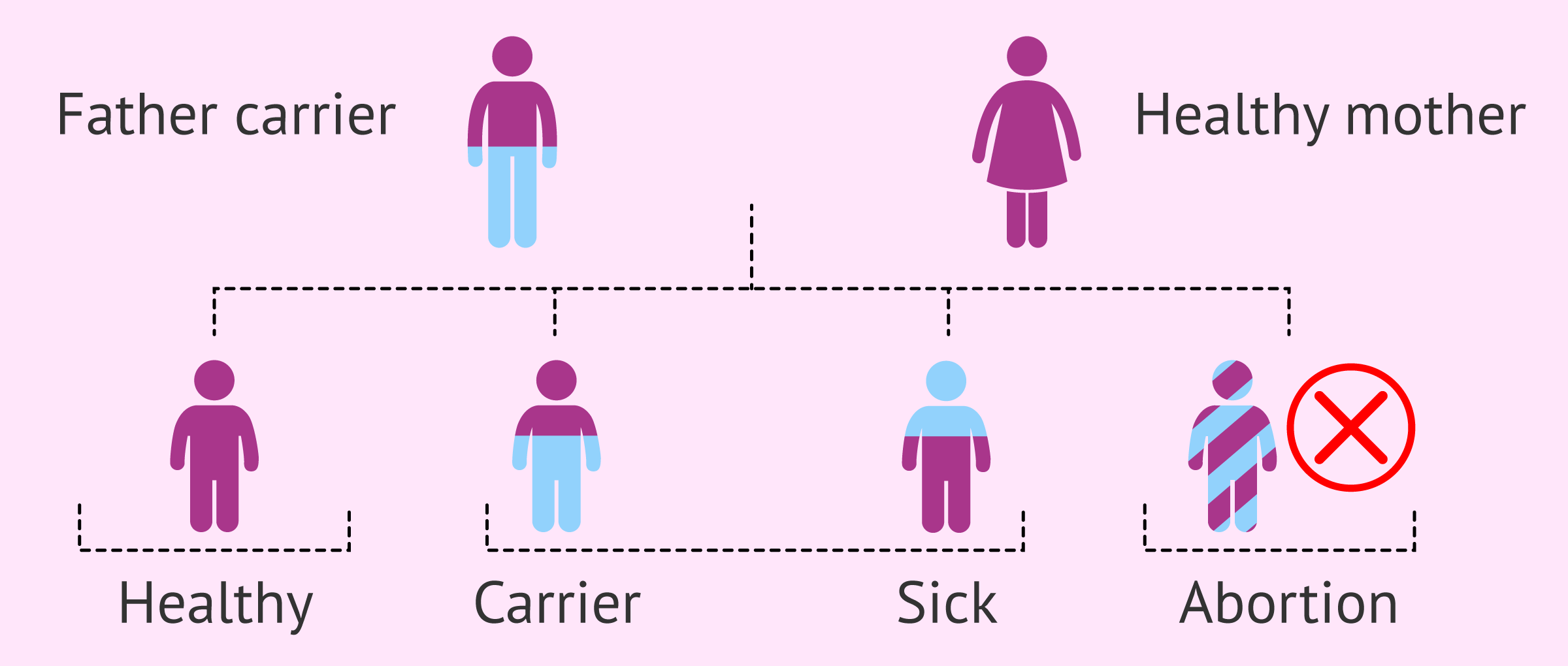Consequences of being a carrier of a balanced chromosomal mutation