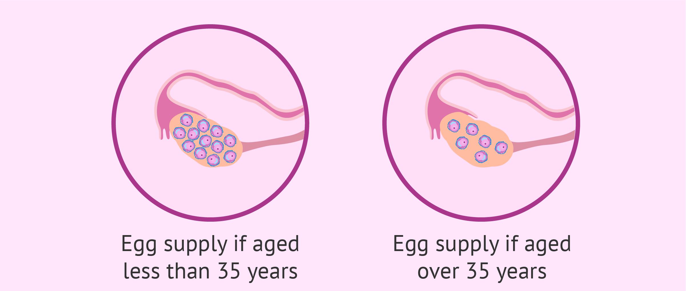 Count Age Chart