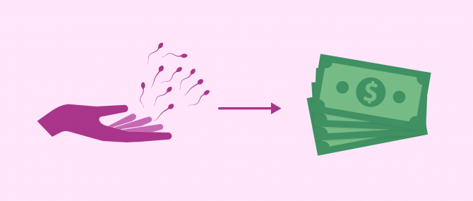 Average compensation payment given to sperm donors