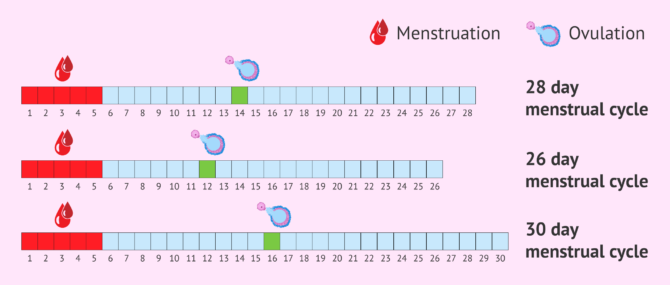 Can I see your charts? ;) temp spike! - Trying to Conceive, Forums