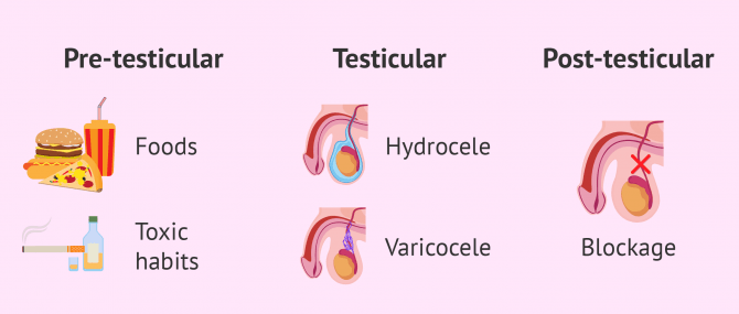 Diagnosing oligozoospermia