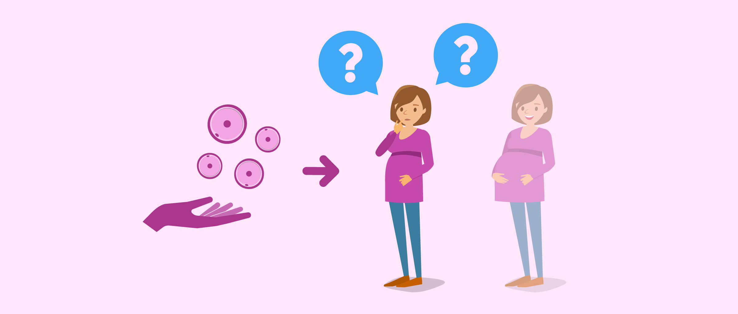 Common questions for egg donor recipients