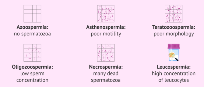 Imagen: Docotr Nicolás Garrido
