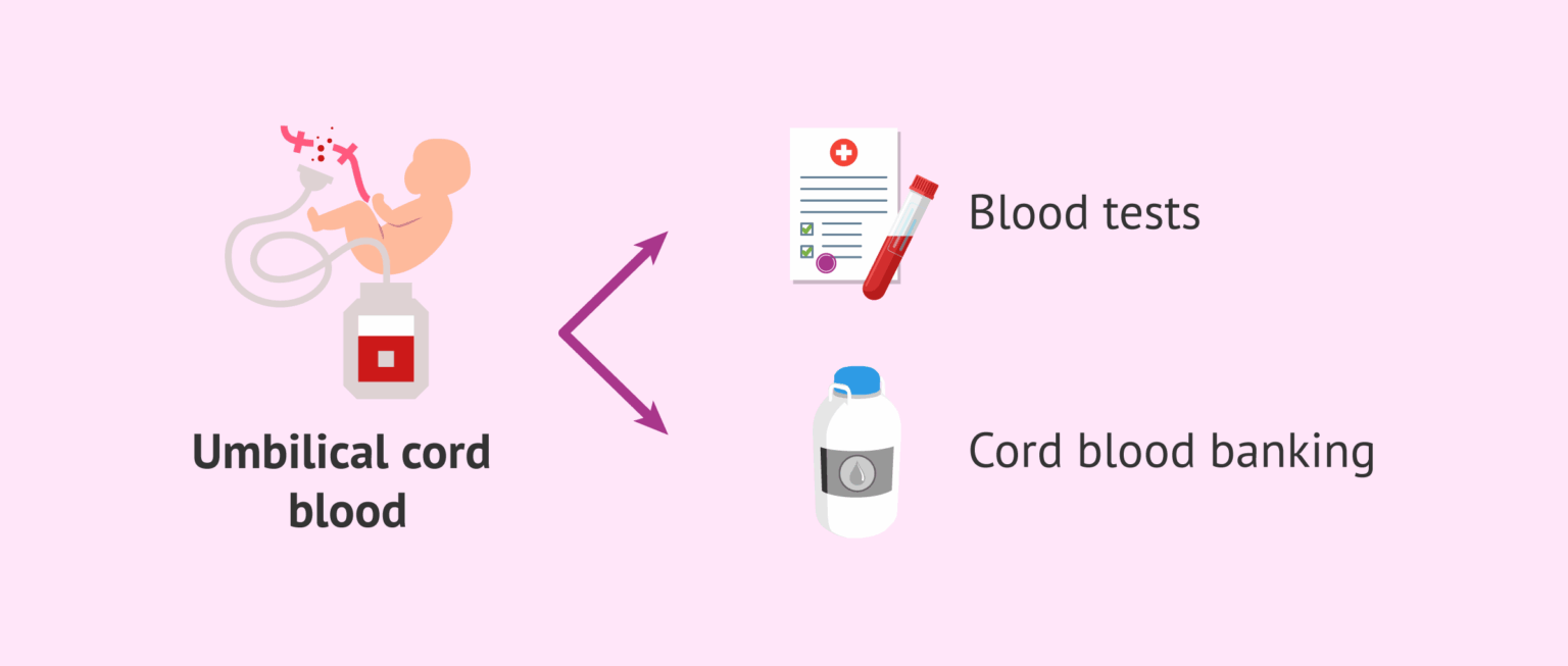 What is the purpose of cord blood banking after childbirth?
