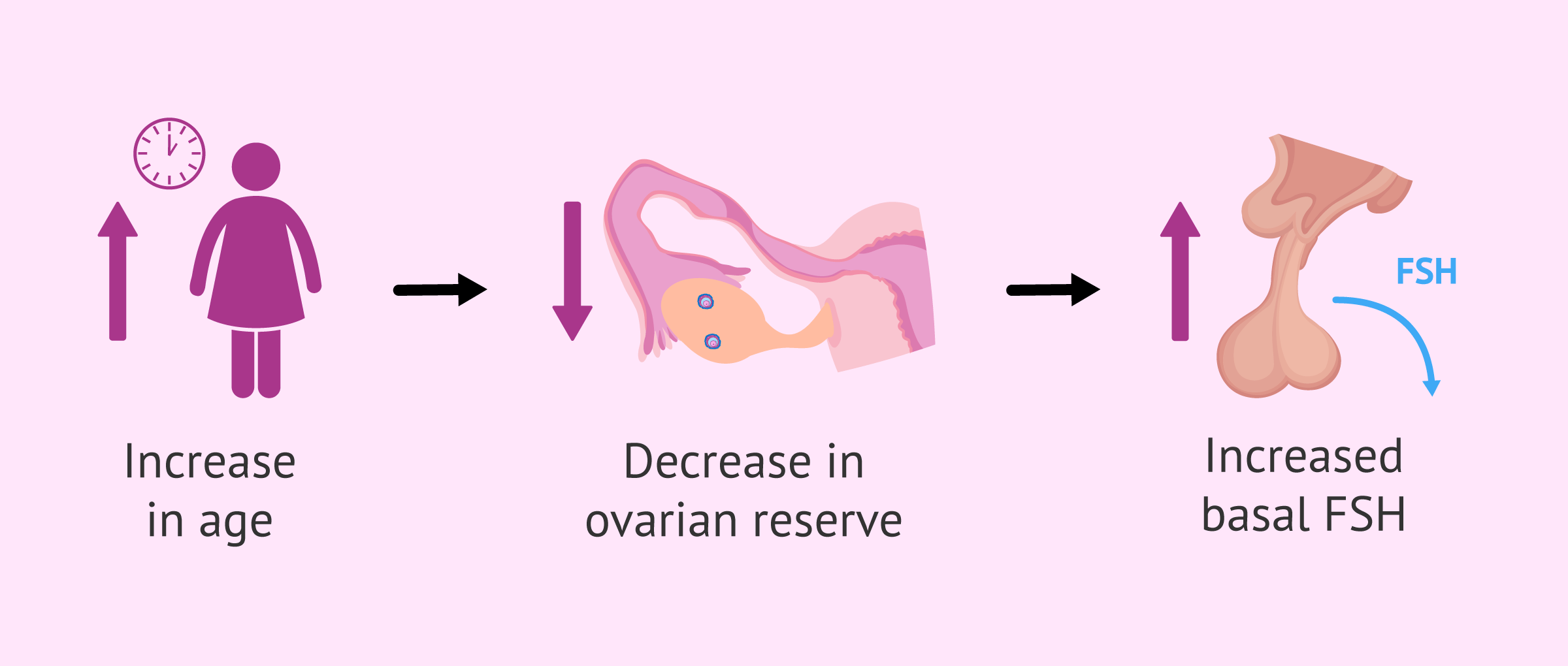 Decrease in ovarian reserve and increase in FSH.
