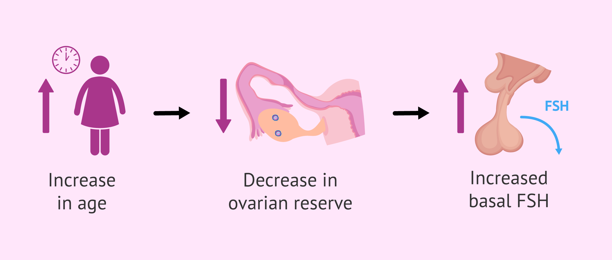 Imagen: Ovarian reserve test