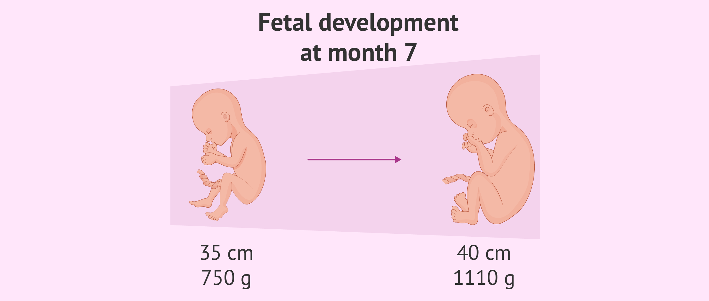 Development Of Baby During 7th Month Of Pregnancy