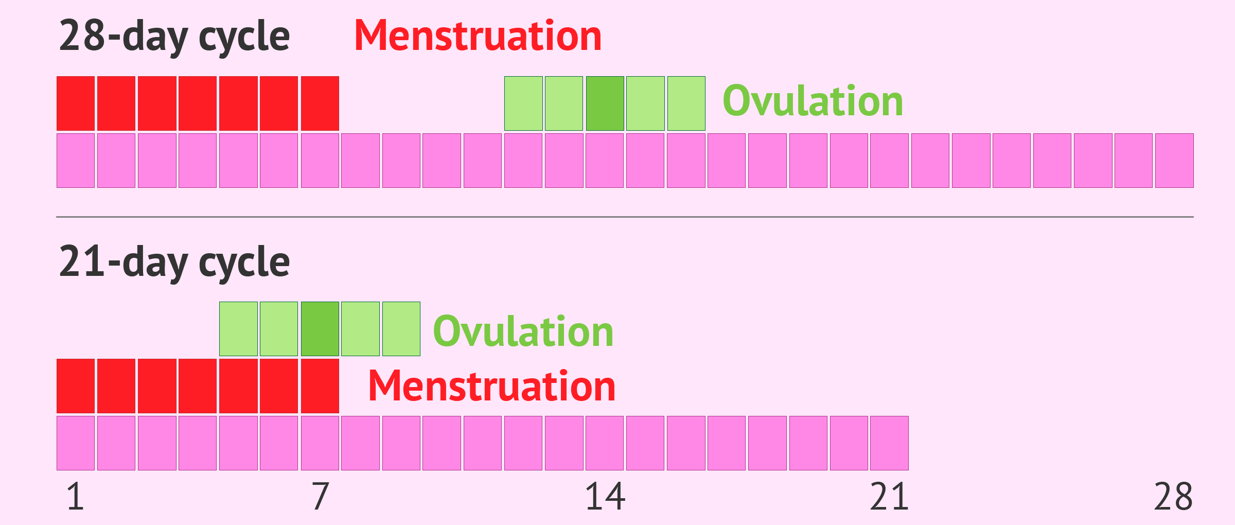 28 day Cycle Vs 21 Day Cycle 28 day Cycle Vs 21 Day Cycle