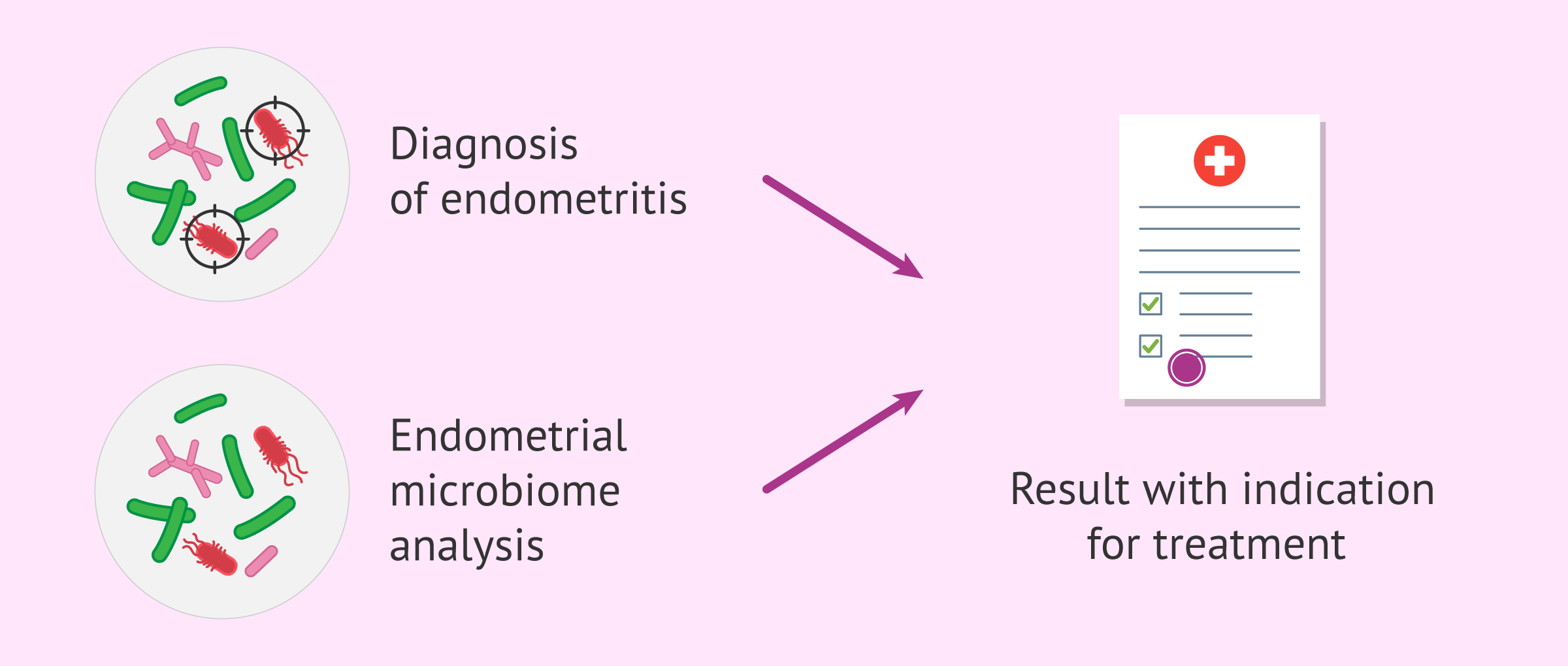 Endometrial microbiome analysis to promote implantation