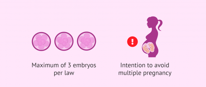 Imagen: Reasons for surplus embryos