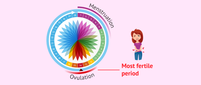 Imagen: Pain as a sign of ovulation