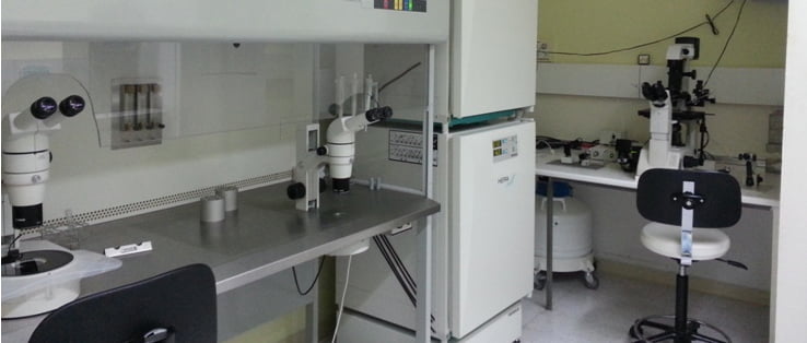 IVF laboratory Fertimed Huelva