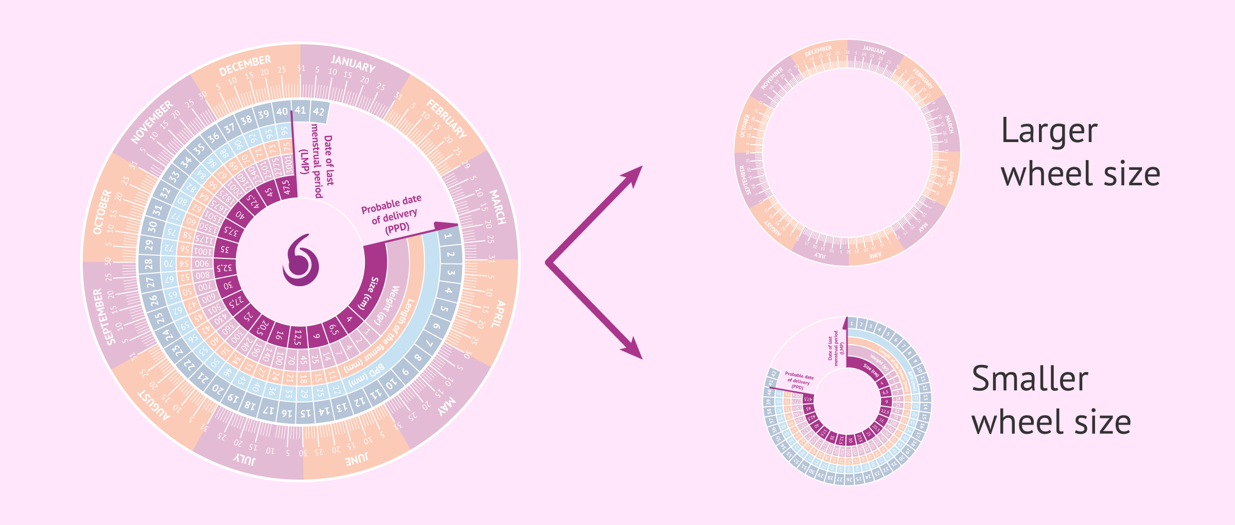 thumbnail image 2 of MDpocket Basic Pregnancy Wheel - Due Date Calculator For Expecting Mothers 2 of 14