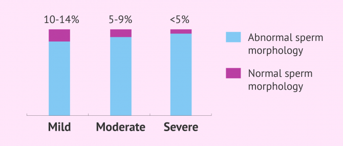 Types of teratozoospermia