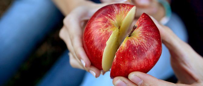 IVF with shared egg donation