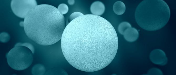 Imagen: Choosing an egg donor in the USA