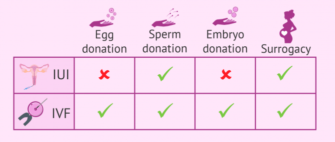 Fertility treatments in combination with third-party reproduction