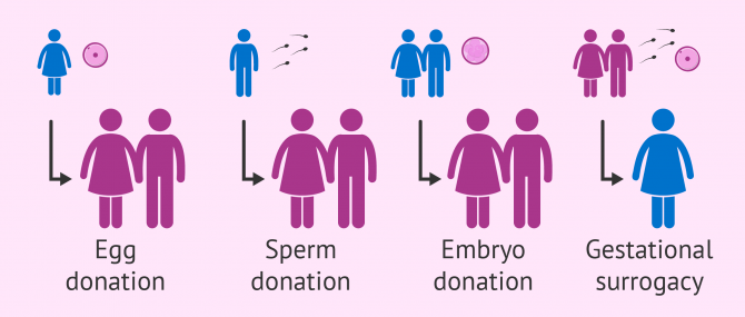 What is Third-Party Reproduction? – Definition, Cost & Options