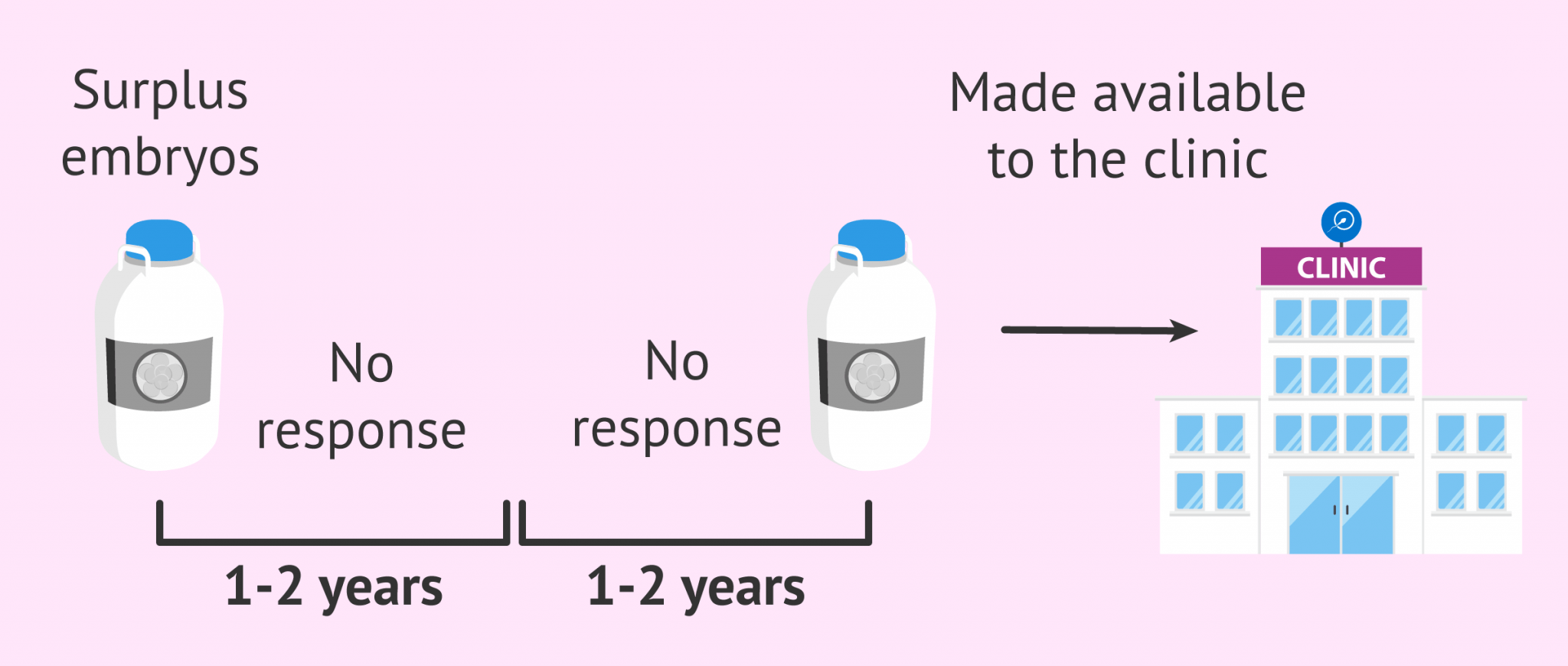 What happens to the excess unused embryos after an IVF treatment?
