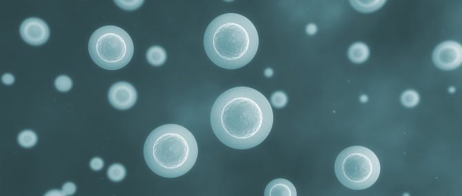 Using donor eggs to conceive