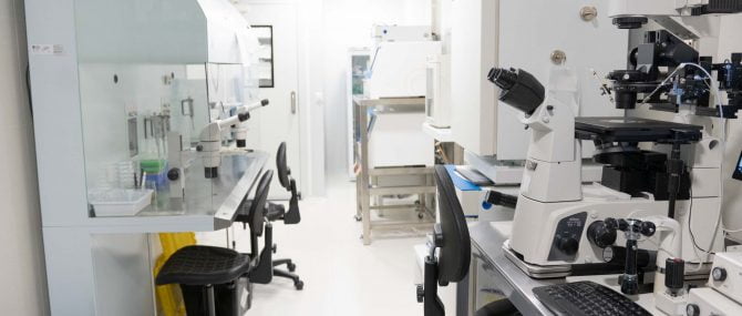 Imagen: Laboratory of IVF Spain Madrid