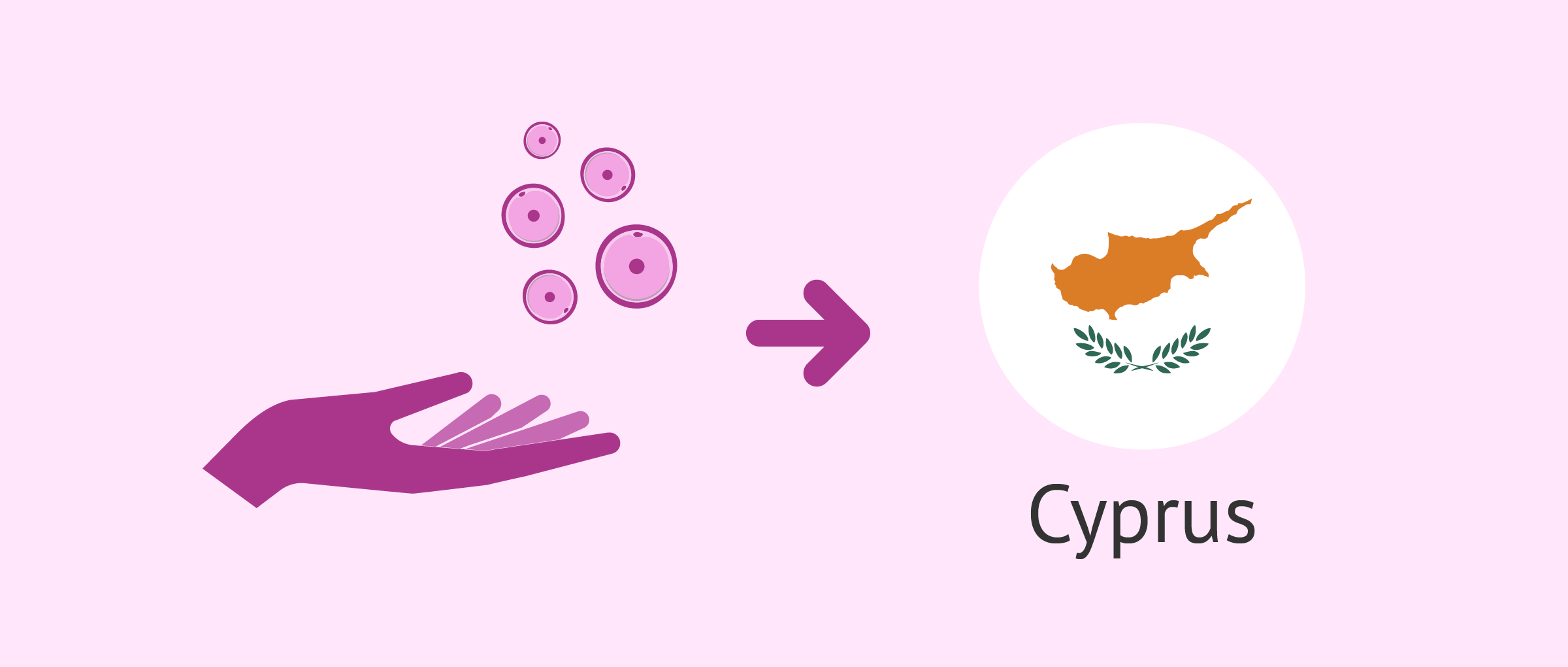 Egg donation costs in Cyprus