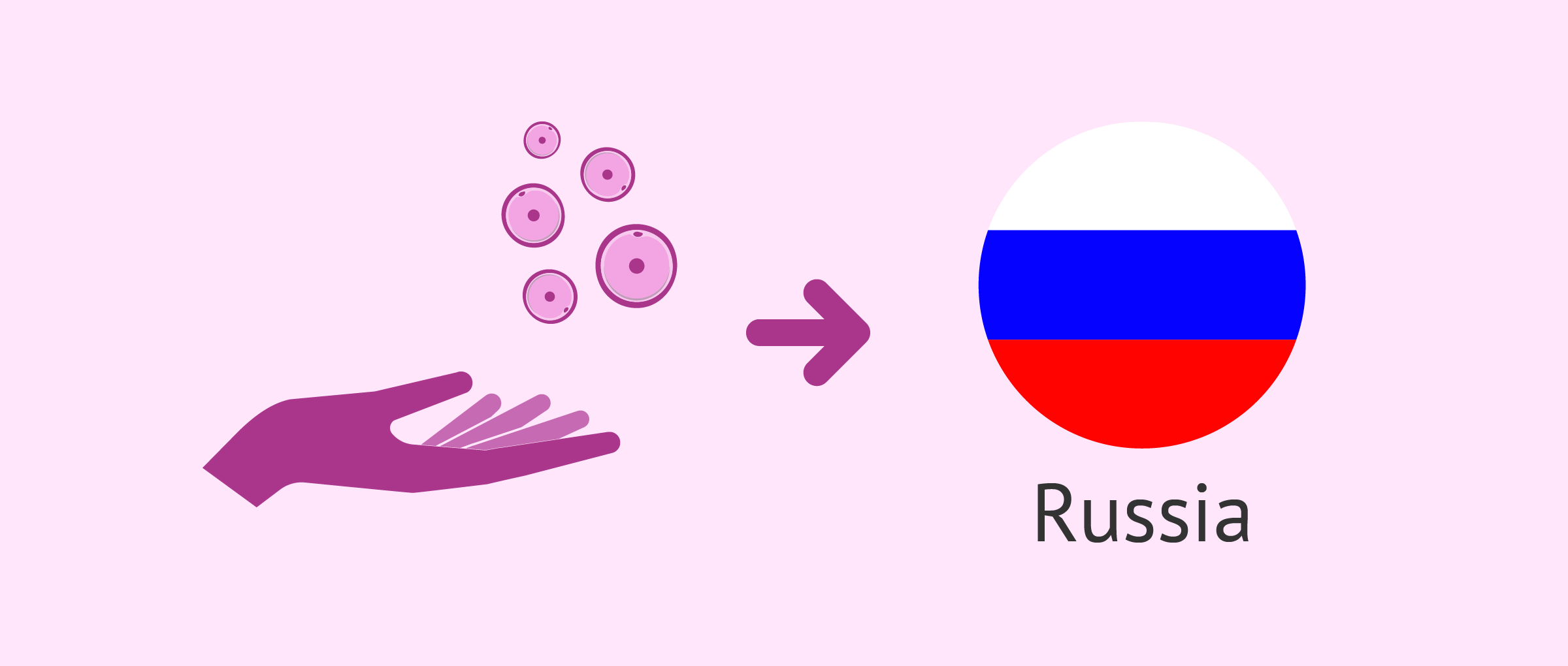 How does egg donation work in Russia?
