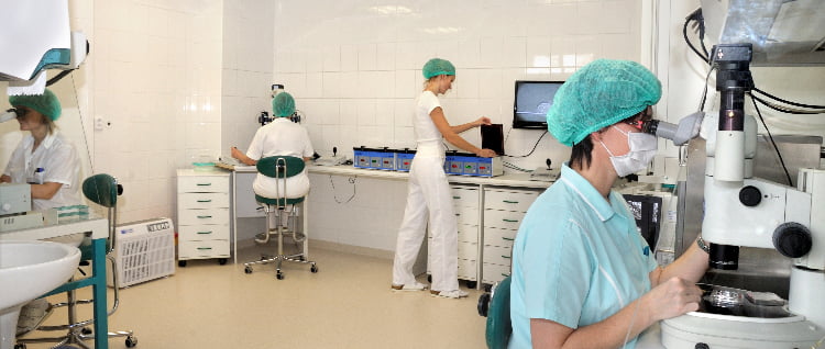 IVF Zlín IVF laboratory