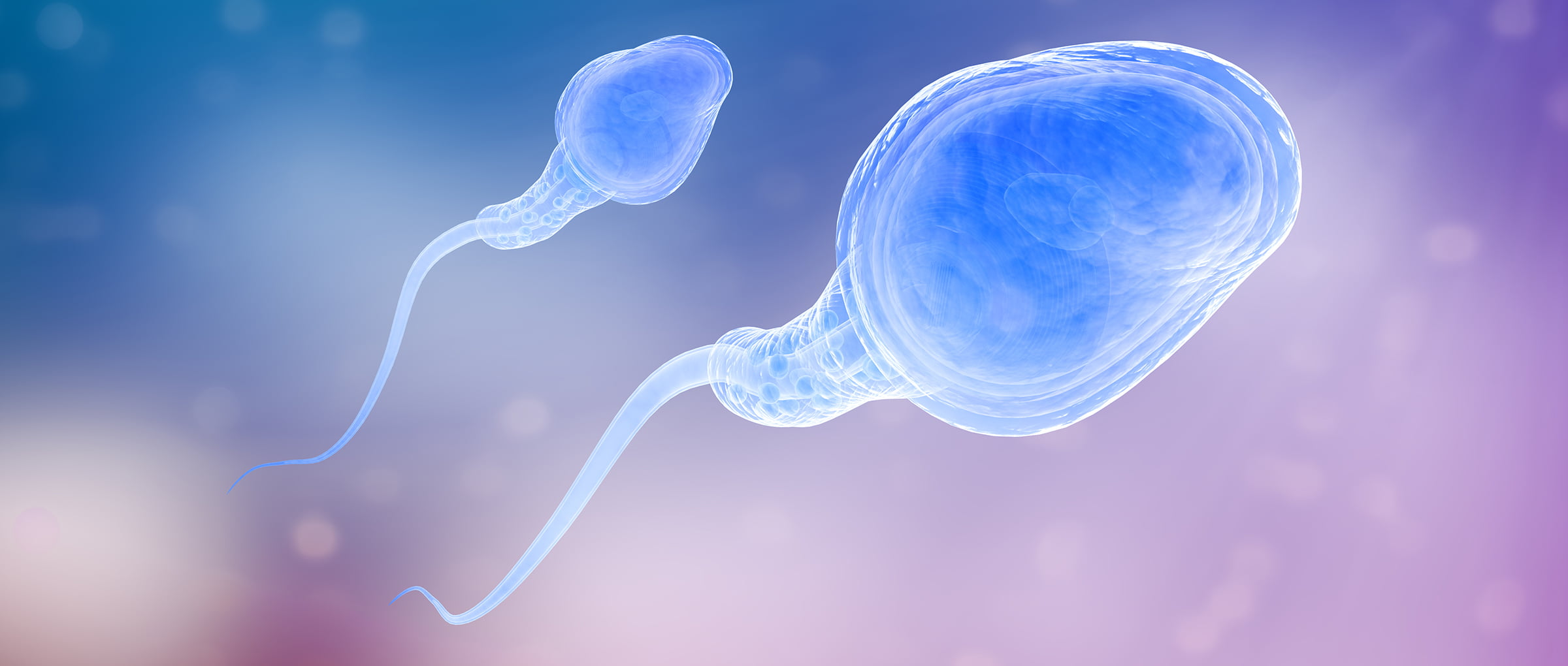 sperm Female assisted Dirtbike twink gay