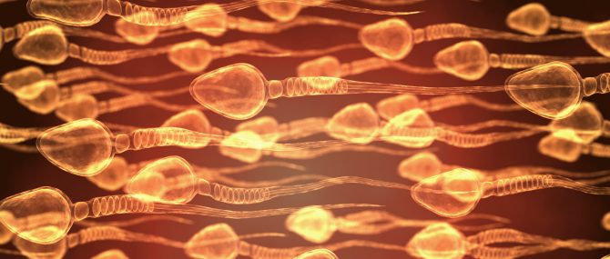 High quality of the semen sample